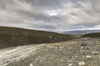 a dirt road through a barren terrain area with rocks and grass around it and two mountains in the distance