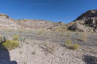 large rocky and gravel area with sparse trees, bushes, and sand in the foreground