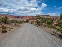 Off-Road Adventure in Utah: Embracing Nature