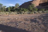 the dirt is rocky and there are small shrubs in front of a rocky hill at the edge