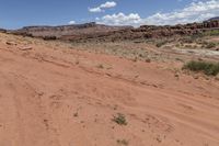 a red dirt road in the middle of nowhere in the desert with bushes and rocks in the background