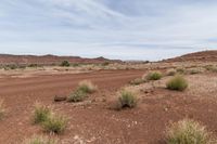 dirt area in a desert area with sparse vegetation on the side and cloudy sky above