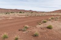 dirt area in a desert area with sparse vegetation on the side and cloudy sky above