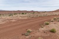 dirt area in a desert area with sparse vegetation on the side and cloudy sky above