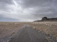 Off-Road Adventure in Utah's Wilderness