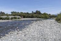 Off Road Adventure in Wairarapa: Exploring Nature's Track