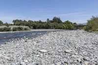 Off Road Adventure in Wairarapa: Exploring Nature's Track