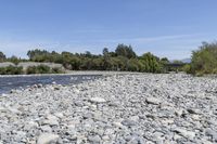 Off Road Adventure in Wairarapa: Exploring Nature's Track