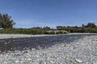 Off Road Adventure in Wairarapa: Exploring Nature's Track