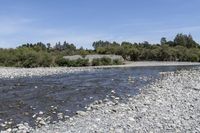 Off Road Adventure in Wairarapa: Exploring Nature's Track