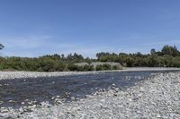 Off Road Adventure in Wairarapa: Exploring Nature's Track