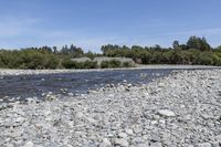 Off Road Adventure in Wairarapa: Exploring Nature's Track