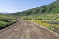 Off-Road Adventure in Washington Gulch, Crested Butte