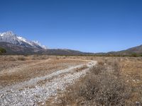 a mountain range with grass and dry bushes with a trail leading to it and snow capped mountains beyond