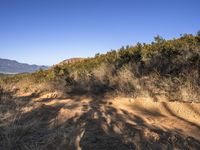 a dirt bike trail with trees in the background and mountains in the distance in the foreground