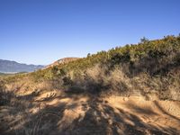 a dirt bike trail with trees in the background and mountains in the distance in the foreground