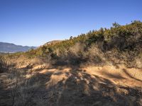 a dirt bike trail with trees in the background and mountains in the distance in the foreground