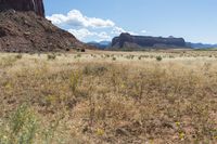 a view of some rocks with yellow flowers in the grass and mountains in the distance