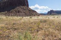 a view of some rocks with yellow flowers in the grass and mountains in the distance