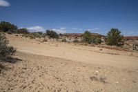 a dirt road in a desert with bushes and dirt surrounding it on a sunny day