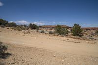 a dirt road in a desert with bushes and dirt surrounding it on a sunny day