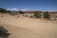 a dirt road in a desert with bushes and dirt surrounding it on a sunny day