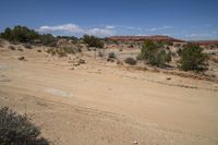 a dirt road in a desert with bushes and dirt surrounding it on a sunny day