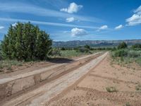 Off-Road Adventures: Sandy and Gravel Streets