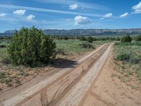 Off-Road Adventures: Sandy and Gravel Streets