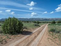 Off-Road Adventures: Sandy and Gravel Streets