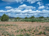 Off-Road Adventures in Utah: Exploring Campgrounds and Gravel Tracks