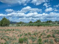 Off-Road Adventures in Utah: Exploring Campgrounds and Gravel Tracks