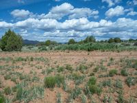 Off-Road Adventures in Utah: Exploring Campgrounds and Gravel Tracks