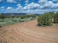 Off-Road Adventures in Utah: Campgrounds and Nature Tracks