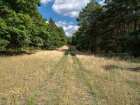 this large open field has a path through it and some trees on either side of the road