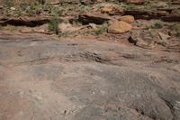 a woman standing in front of some rocks looking down on a bike ride through the wilderness