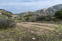 the field is very barren, with grass and flowers in it and snow on the mountains