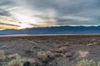 the sun sets behind mountains in a desert landscape with green grass and scrubby weeds