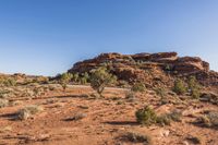 Off Road Desert Adventure: Exploring the Wilderness