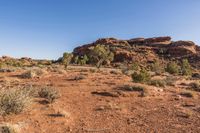 Off Road Desert Adventure: Exploring the Wilderness