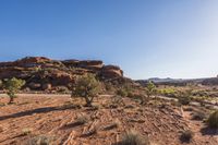 Off Road Desert Adventure: Exploring the Wilderness