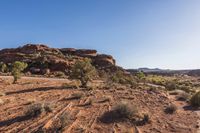 Off Road Desert Adventure: Exploring the Wilderness