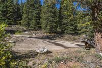 Off-Road Dirt Road Through Winding Mountain Landscape