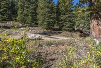 Off-Road Dirt Road Through Winding Mountain Landscape