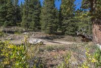 Off Road Dirt Road Winding Through Mountain Landscape