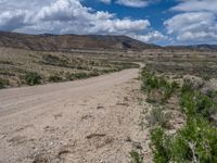 Off-Road Dirt Track in Rural Utah