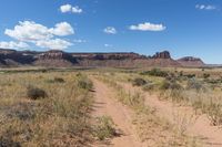Off-road driving in Canyonlands, Utah