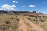 Off-road driving in Canyonlands, Utah