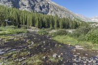 Off-Road Driving Through Colorado Mountain Landscape