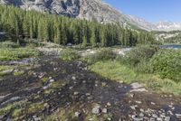 Off-Road Driving in Colorado Mountain Landscape 002